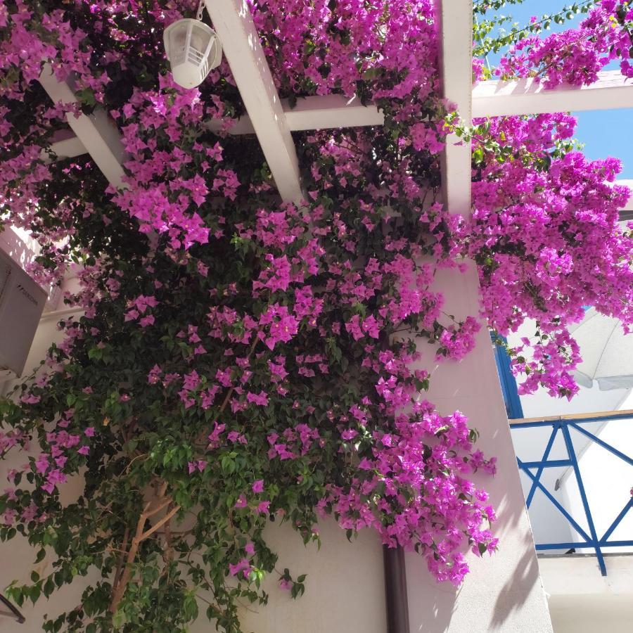 أفيرسا B&B Sognando Vietri E Spa Esclusiva المظهر الخارجي الصورة
